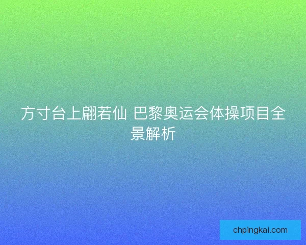 方寸台上翩若仙 巴黎奥运会体操项目全景解析 方寸台上翩若仙 巴黎奥运会体操项目全景解析