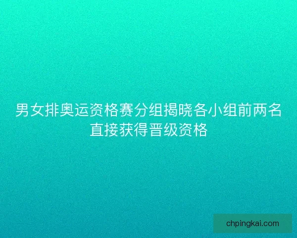 男女排奥运资格赛分组揭晓各小组前两名直接获得晋级资格