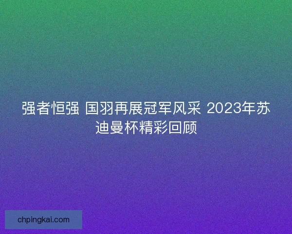 强者恒强 国羽再展冠军风采 2023年苏迪曼杯精彩回顾