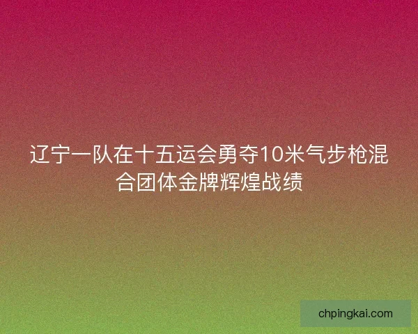 辽宁一队在十五运会勇夺10米气步枪混合团体金牌辉煌战绩